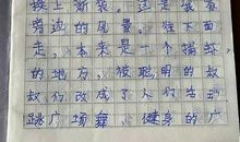 关于环境的作文：家乡环境美了_600字