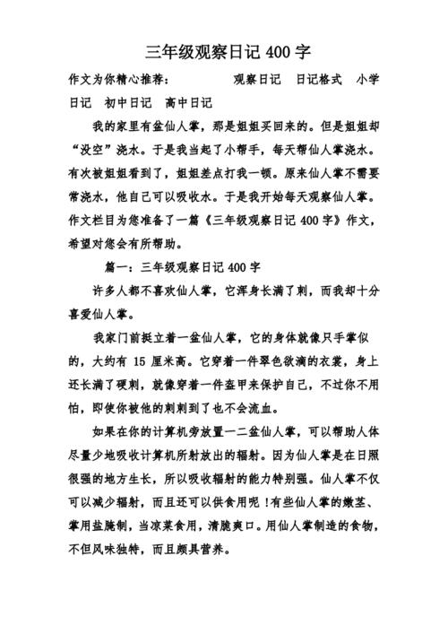 失败者是king_400字