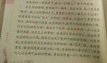 关于环境的作文：家乡环境的巨变_400字