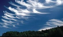 风——天空的装饰者之一_200字