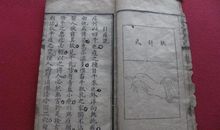 不幸的青春痘_400字