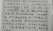 砍伐树木的危害作文_350字