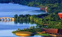 2007年山东高考满分作文：蔷薇。故乡_800字