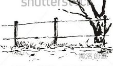 孤独的树爷爷_550字