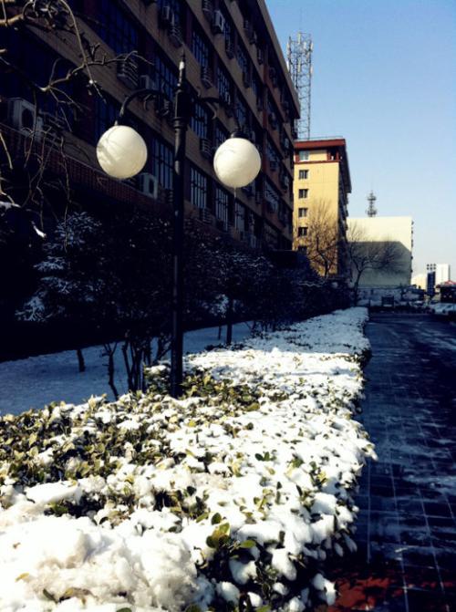春季Snow_200字