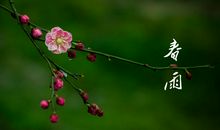 经典优美段落：桐花段落_600字