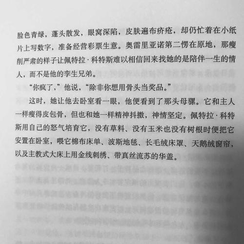 经典优美的段落：一百年的孤独_3000个单词