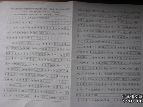一年级的写作作文：如果有一天我消失了，请尝试成为素食主义者_800个单词