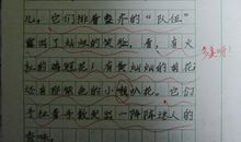 三年级状物作文：校园的春夏秋冬_350字