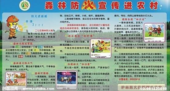 保护森林_600字