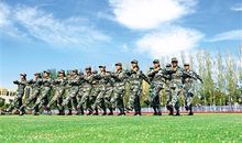 磨练坚强意志，感受军训之美_650字