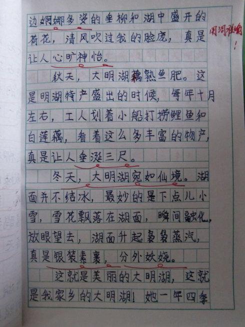 三年级作文：我家乡的麦田_500字