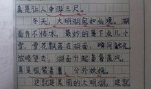 三年级状物作文：家乡的麦田_500字