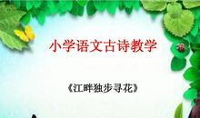 读《江畔独步寻花》_400字