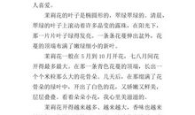 三年级状物作文：我家的茉莉花_200字