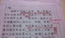 关于初中生活的作文：多彩的初中生活_1000字