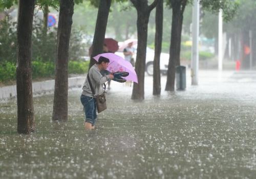 大雨_350字