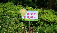 保护树木，珍惜家园_450字