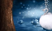 狐狸和天鹅_450字