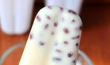 吃了根棒冰 当了回司令_200字