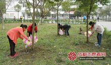 保护树木，爱护树木_450字