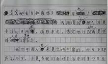 05年高考满分作文（北京卷）：安全_1200字