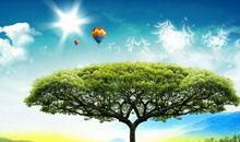 关于宽容的作文：宽容之心_1200字