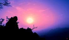 晨雾·太阳_450字