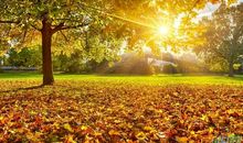 多彩活泼的秋天_700字