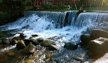 美丽的西溪_650字