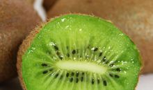 新绿.心绿_450字