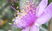 生命的色彩_650字