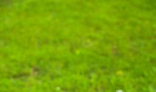 调皮的雾霾_300字