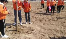 我和小树之间有个约定_550字