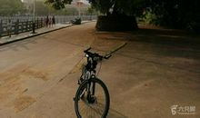 一棵老榕树_400字