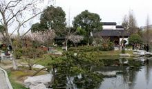 莘庄公园半日游_550字