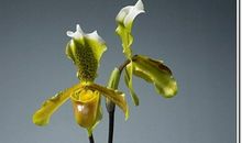 瞬间的永恒_900字