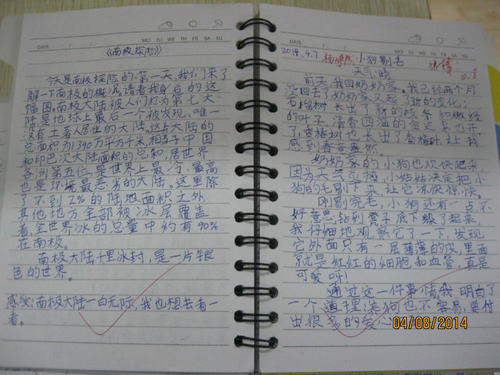 关于奶奶的成分：热爱生活的奶奶750字