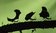 道似无情却有情_900字