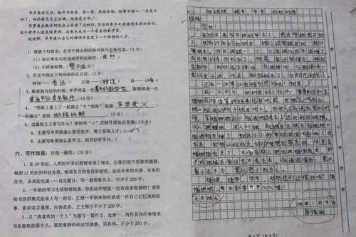 关于奶奶的作文：可爱的奶奶_900个单词