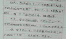 关于家乡作文：故乡―我心中的圣地_2000字