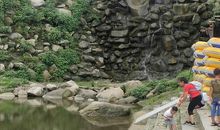 金顶山漂流记 _650字