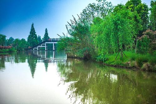 家乡湿地公园_450个单词