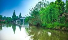 家乡的湿地公园_450字