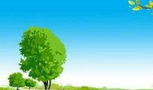 那棵小树_1200字