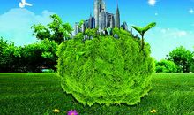 我和小树同成长_1000字