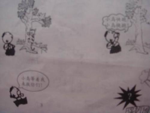 保护鸟_750字