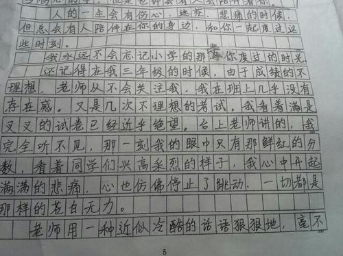 宽容与争议_600字