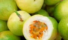 水果品尝会_600字