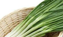 小葱长个了_150字